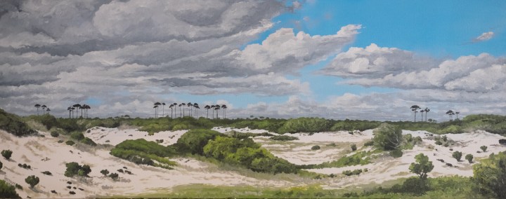 gulfdunes